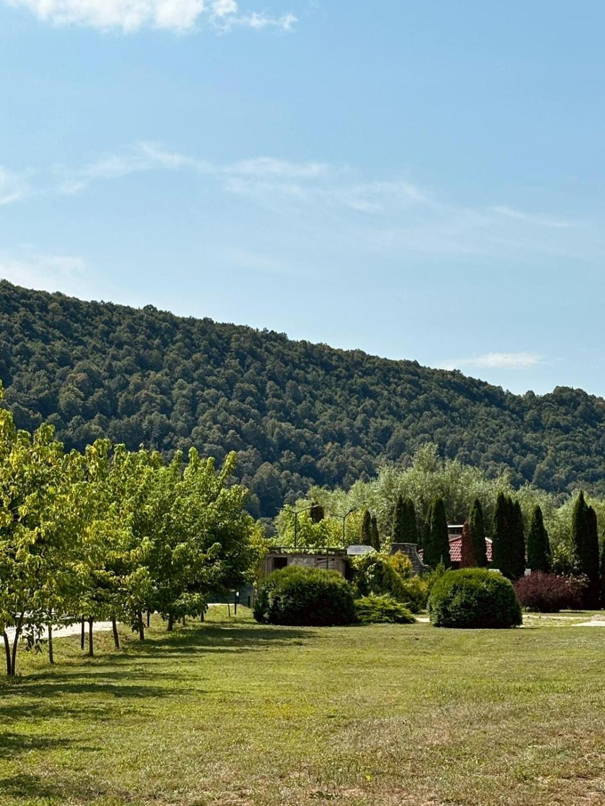 Riverside Chalet Una Villa Bihac Exterior photo